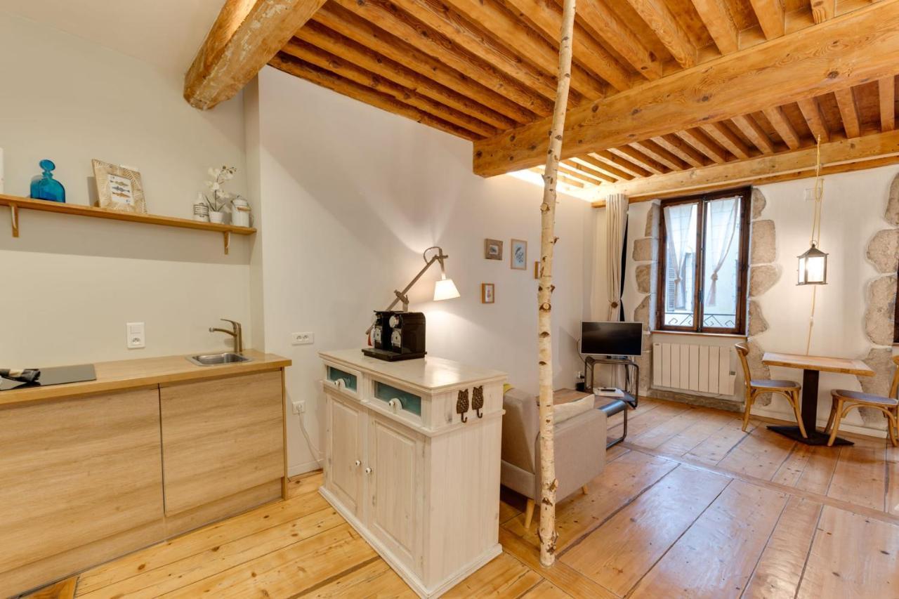 La Cour Filaterie - Suite Of 30 Sq M In The Annecy Breakfast Included Ngoại thất bức ảnh