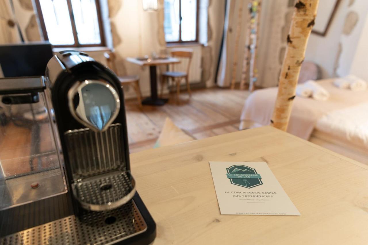 La Cour Filaterie - Suite Of 30 Sq M In The Annecy Breakfast Included Ngoại thất bức ảnh